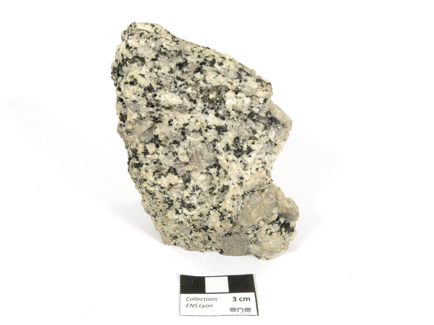 Granite monzonitique Granite monzonitique Corse  Lumio Punta Caldanu